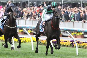 Shamus Award wins the Cox Plate